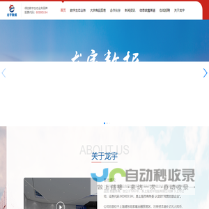 龙宇数据